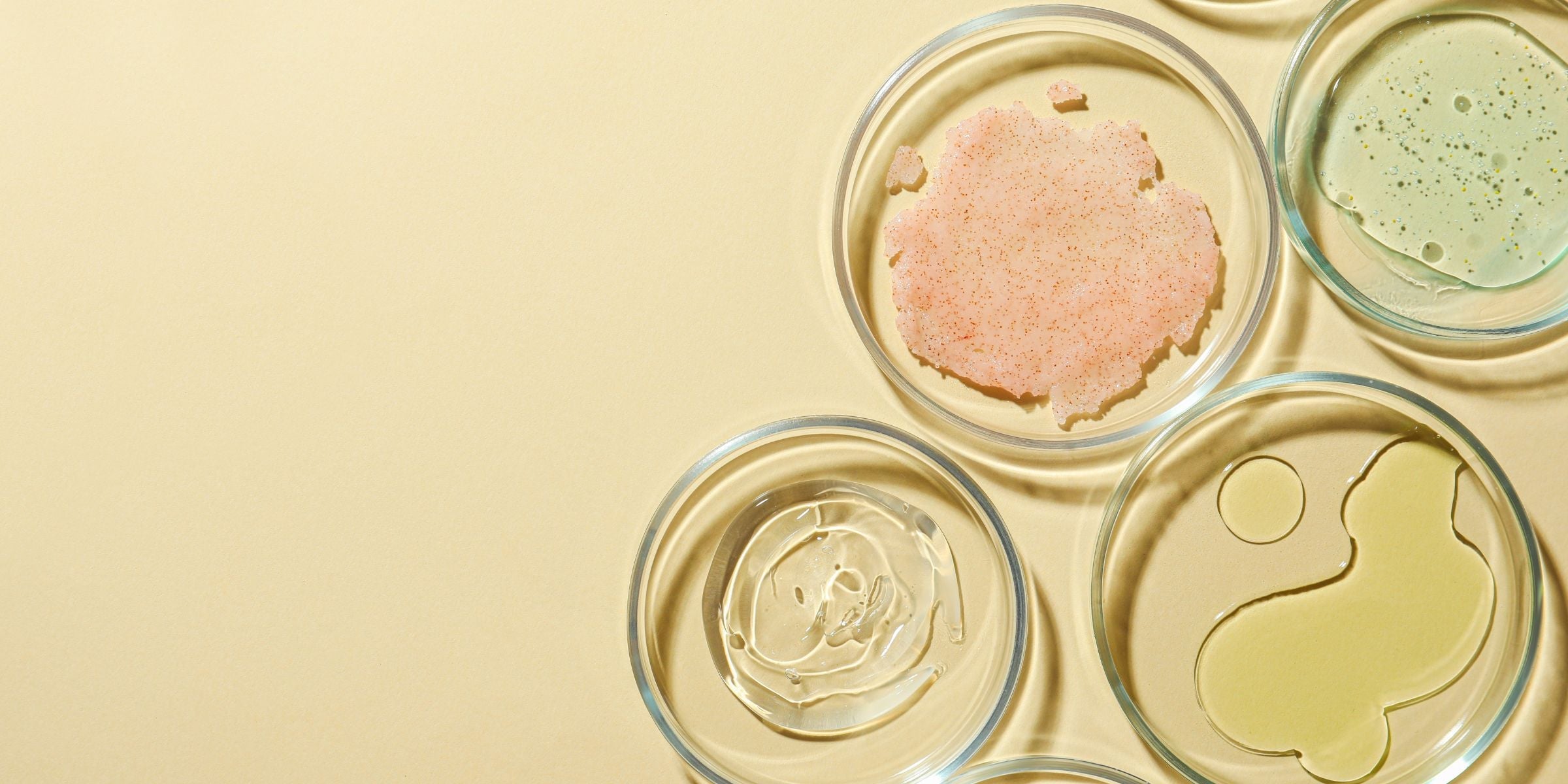 The Anatomy of a Product: What’s in My Skin Care Products?
