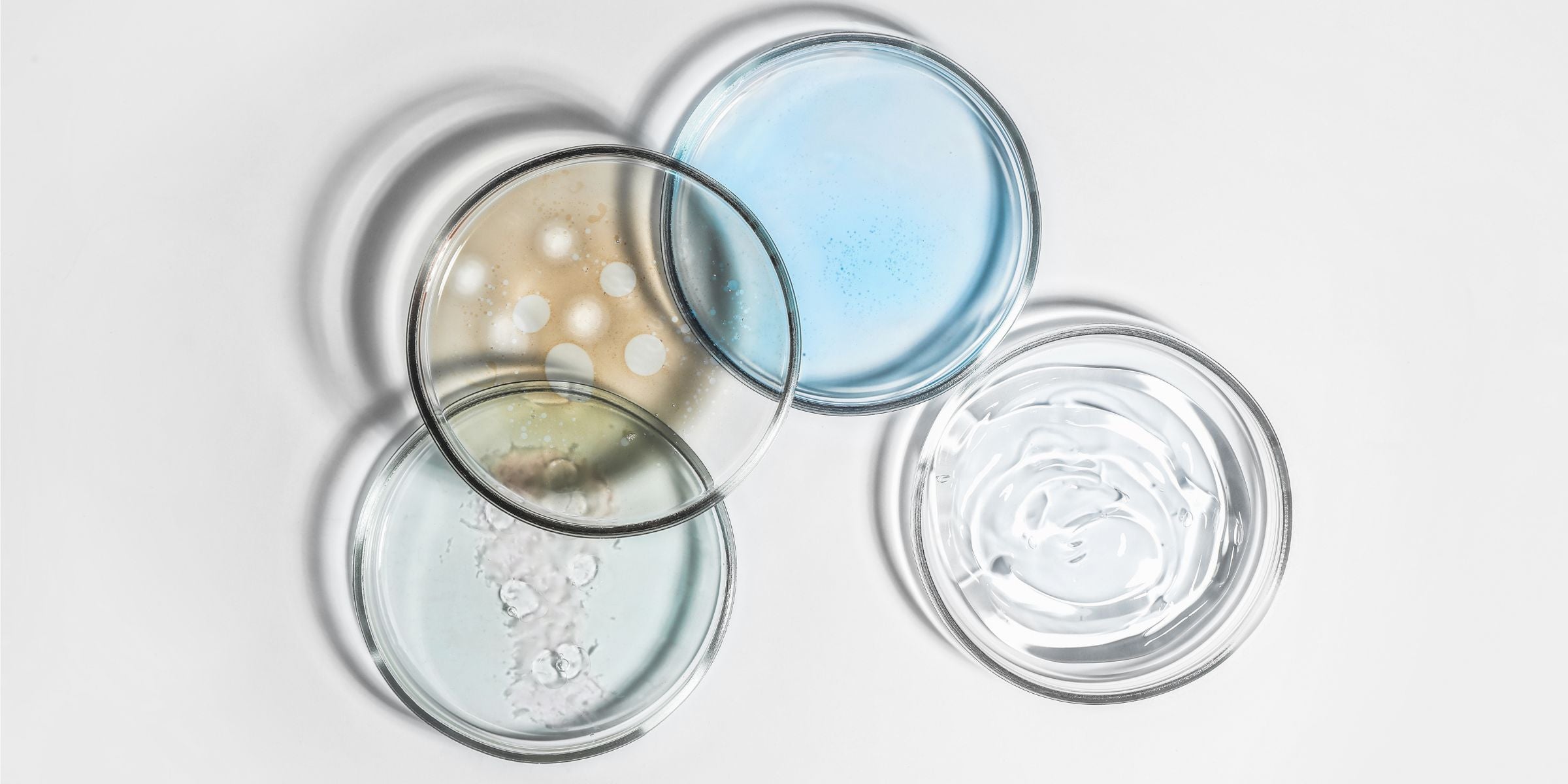 The 12 Best Anti-Aging Ingredients to Use in Your Skin Care Products