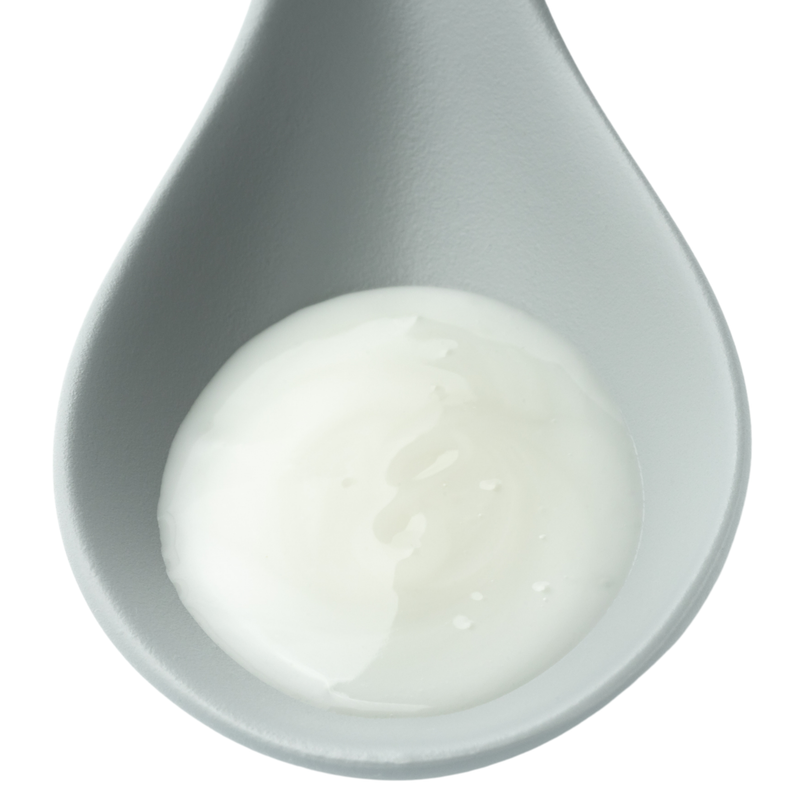 Enzyme Polish