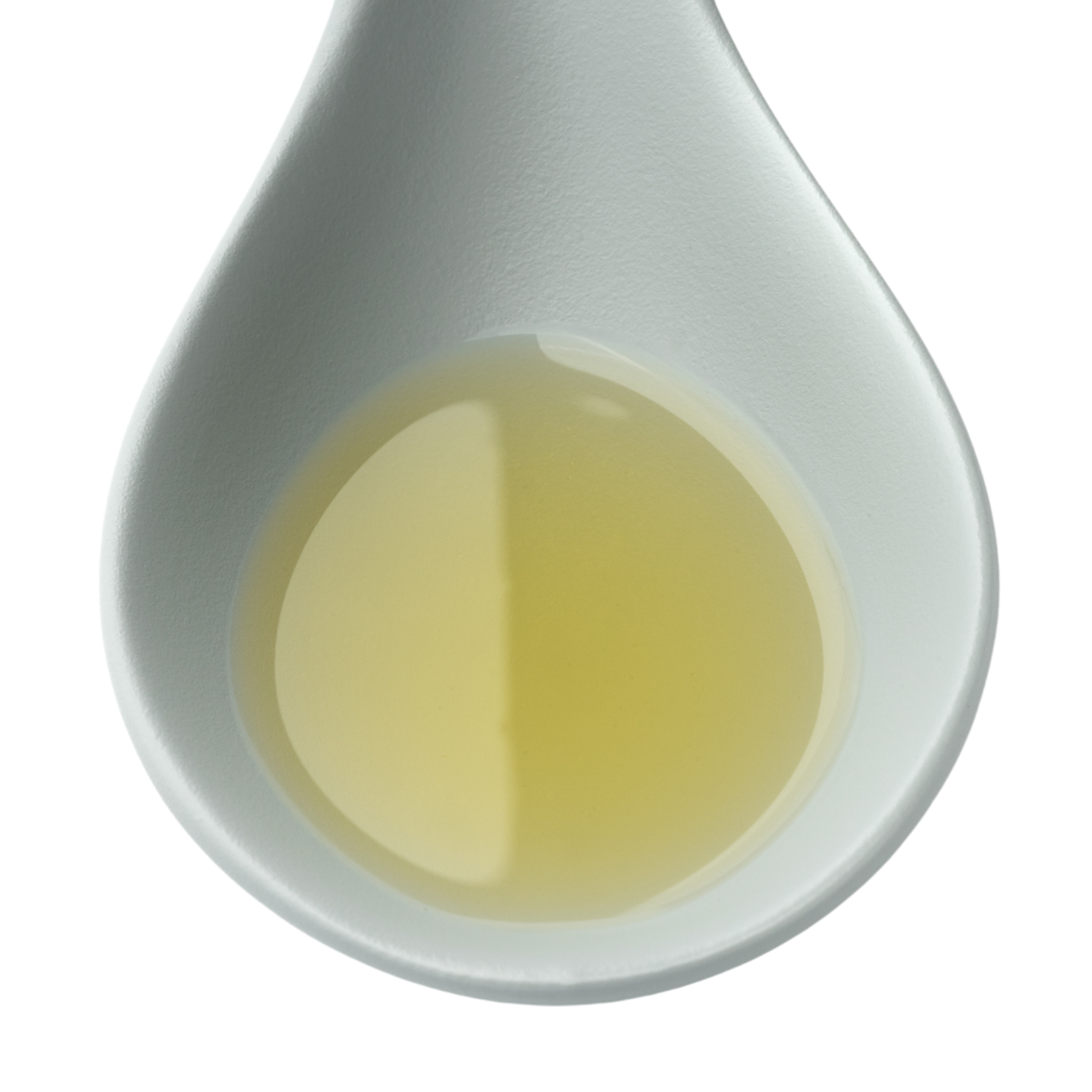 Sudsy Shower Oil