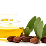 Tamanu Beard Oil