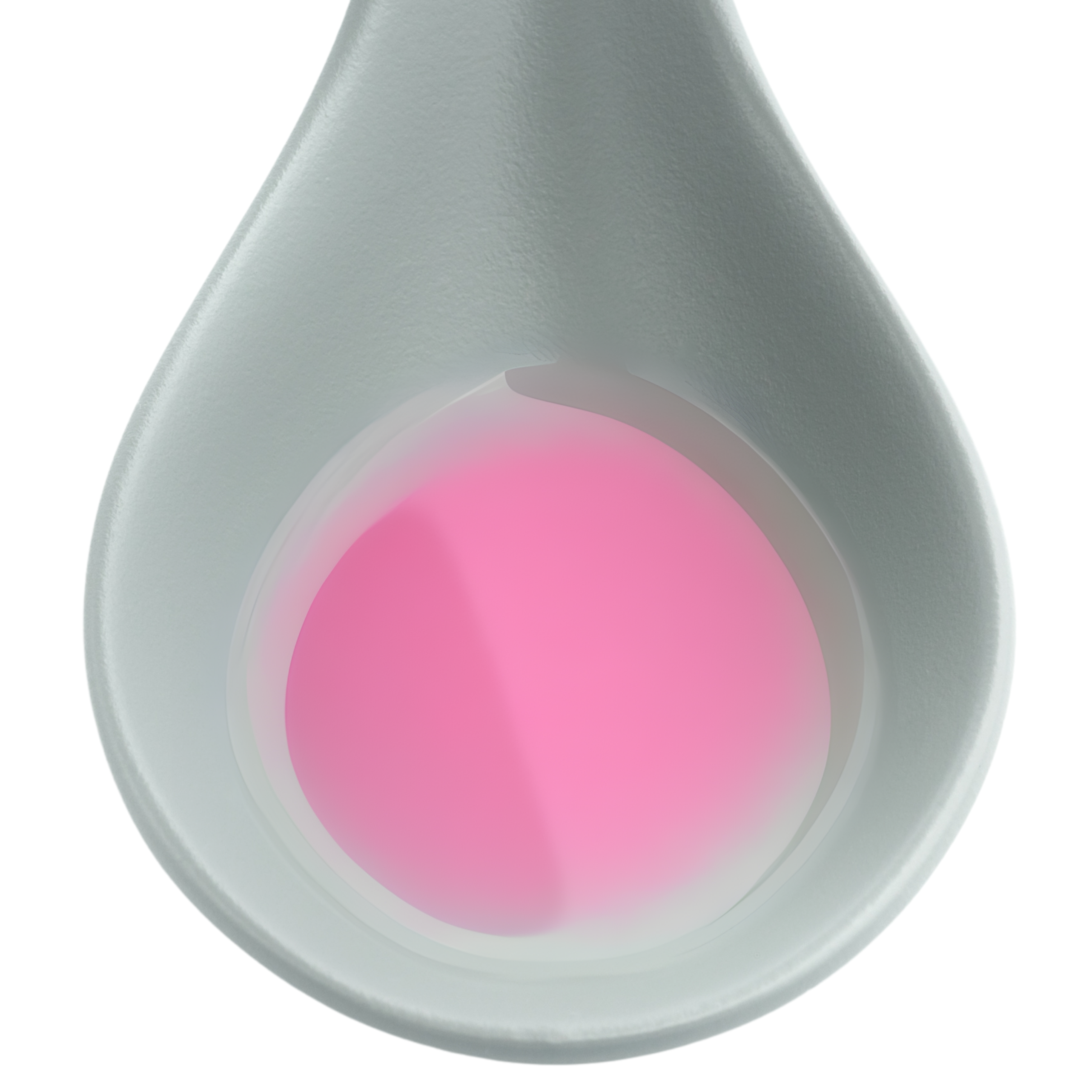 Wild Plum Toner