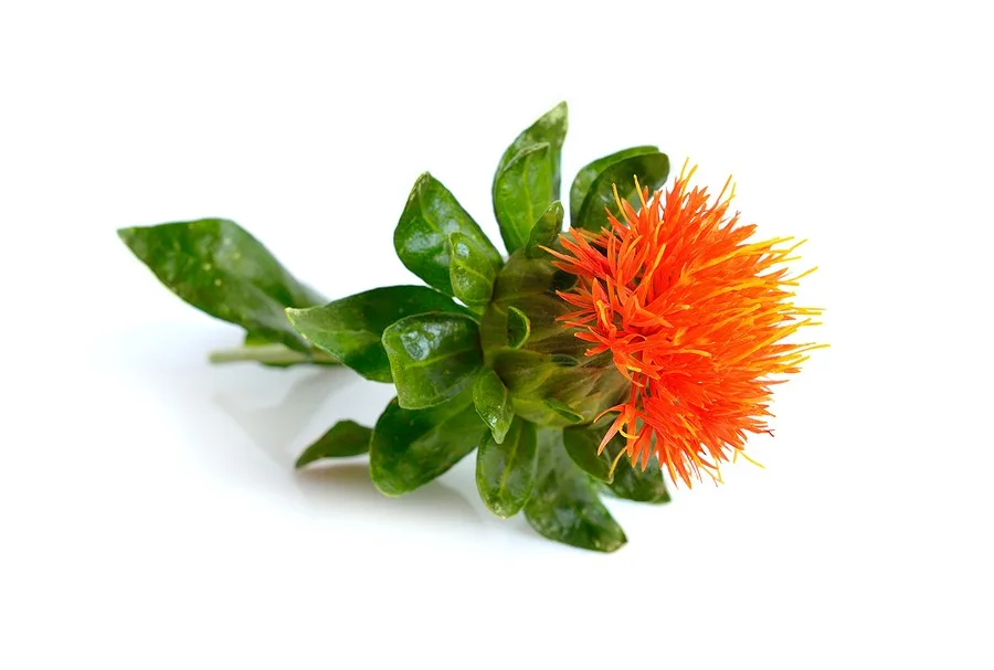 safflower plant private label skin care
