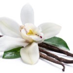 private label skin care vanilla orchid