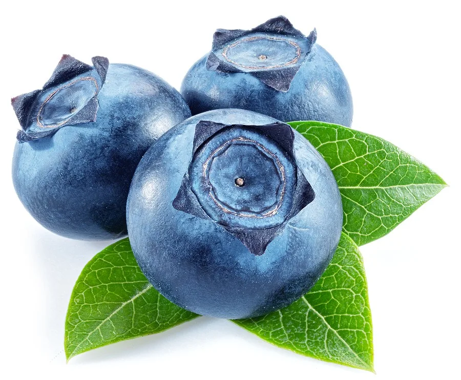 private label skin care blueberry peel