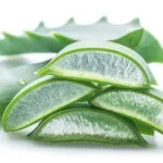 aloe vera fresh leaves private label skin care