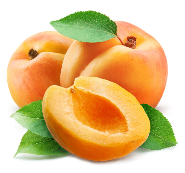 apricots with leaves private label skin care