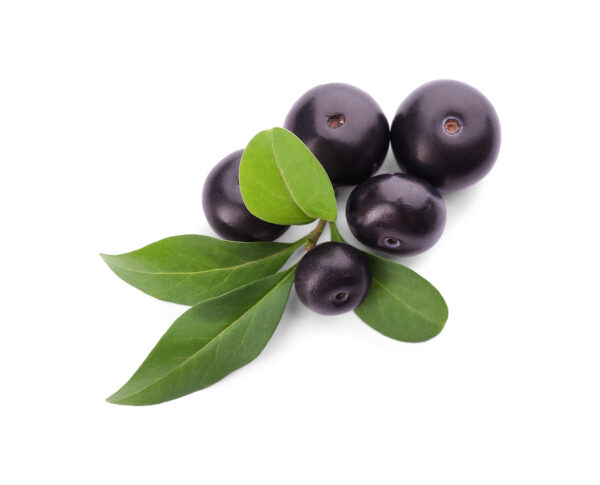 acai berries with leaves private label skin care