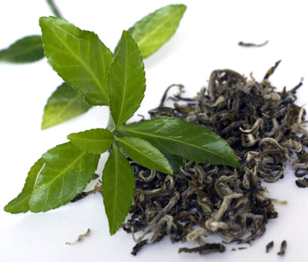 private label green tea leaves