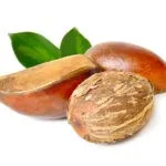 private label shea butter skin care