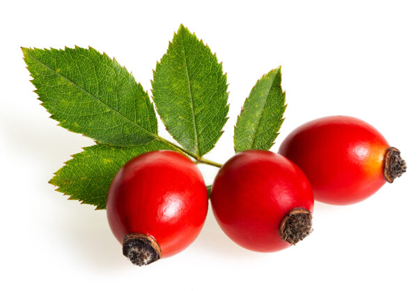 rosehip berries private label skin care