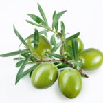 green olives private label skin care