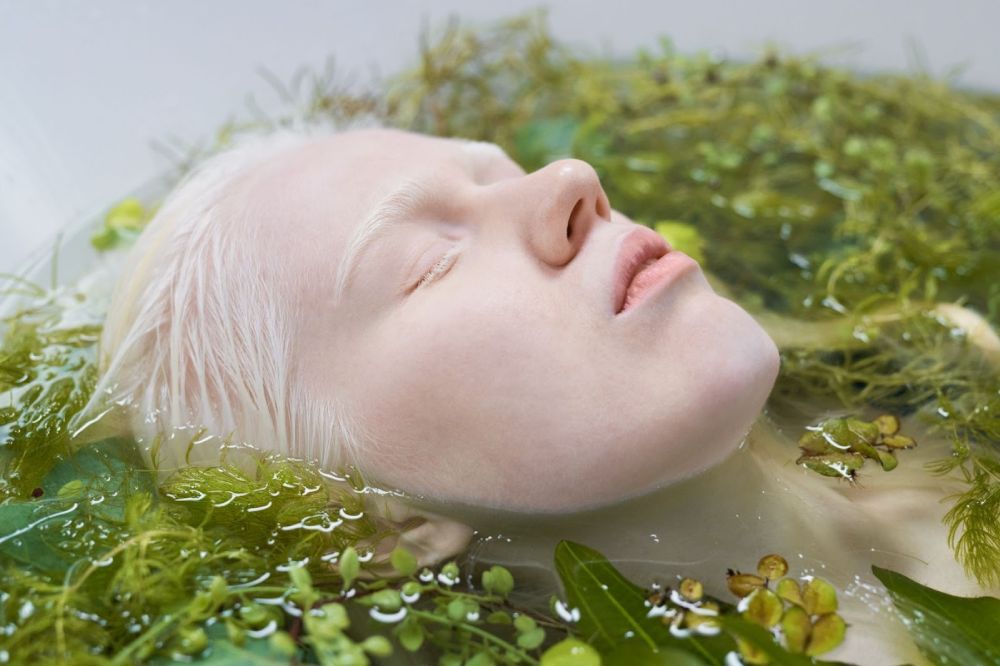 benefits of algae in skin care